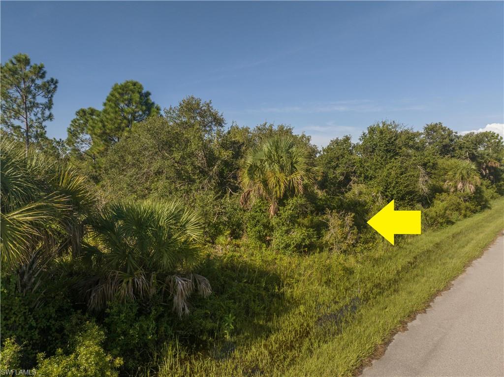 13211 Chiminiello Dr Property Photo 6