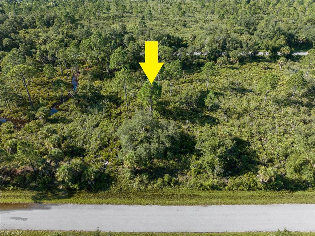 13211 Chiminiello Dr Property Photo 7