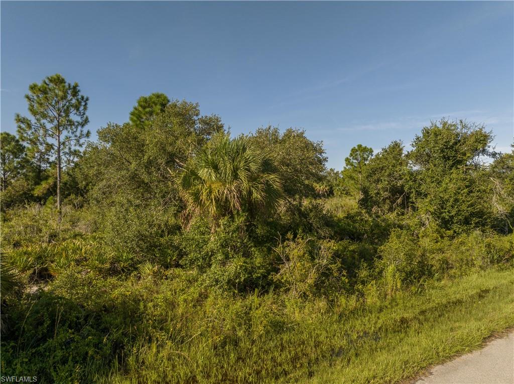 13211 Chiminiello Dr Property Photo 12