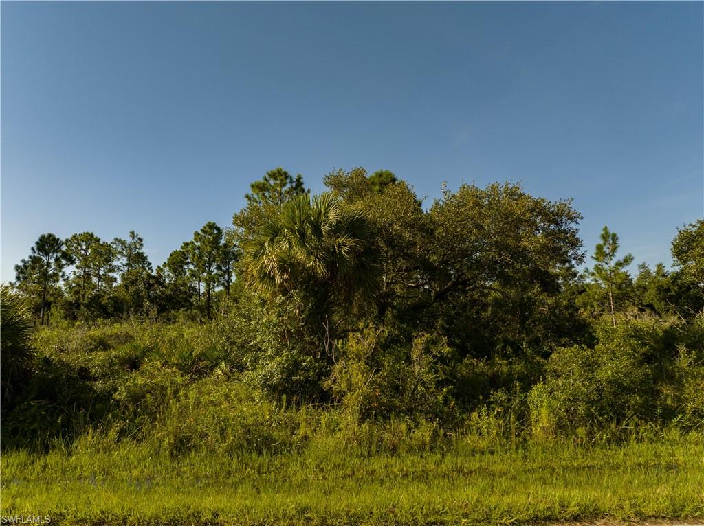 13211 Chiminiello Dr Property Photo 13