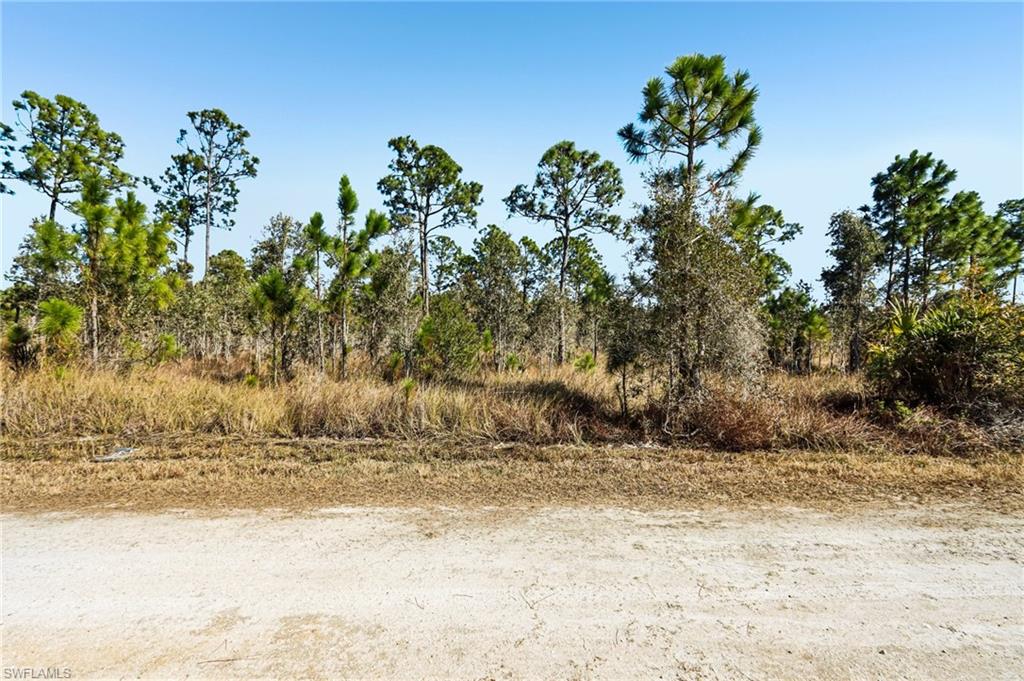 13592 Carousel Dr Property Photo 1