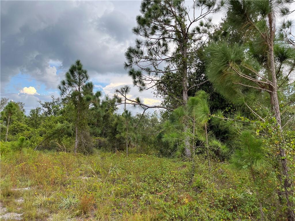 2250 Sulstone Dr Property Photo 2