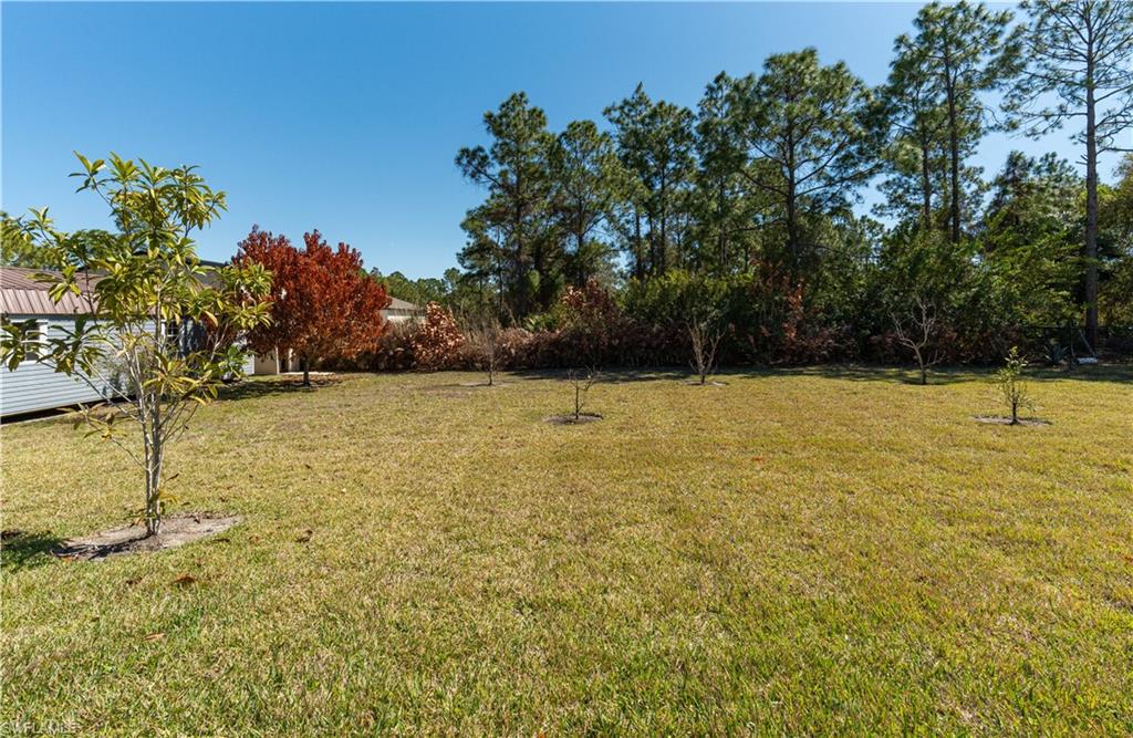 1118 Clark Ave Property Photo 18