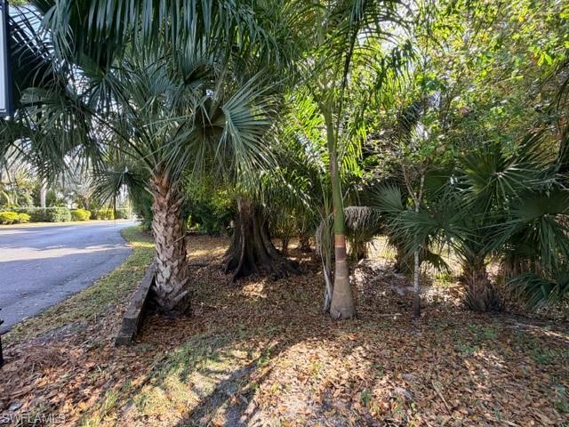 5100 Cypress Trail Resort Cir Property Photo 18