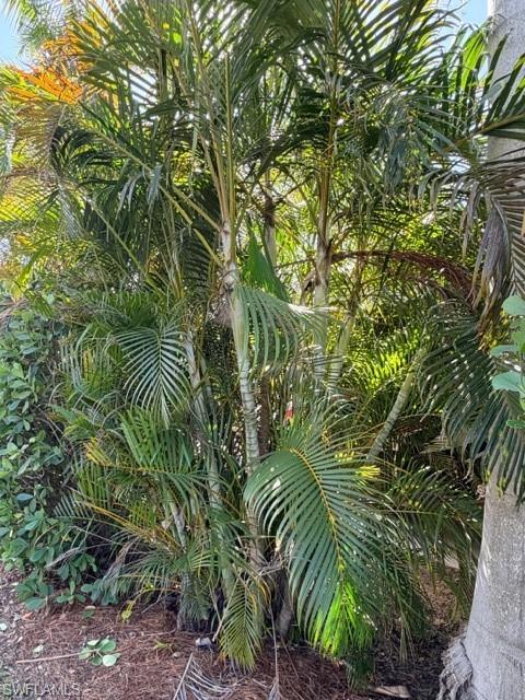 5100 Cypress Trail Resort Cir Property Photo 22