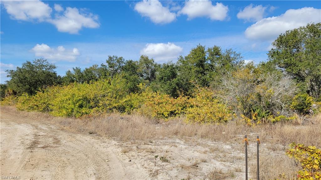 6001 Sunshine Blvd N Property Photo 4