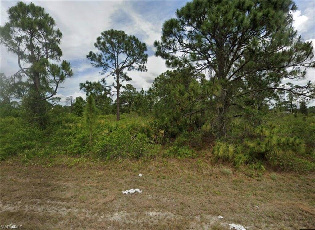 1139 Venetia ST Property Photo 1