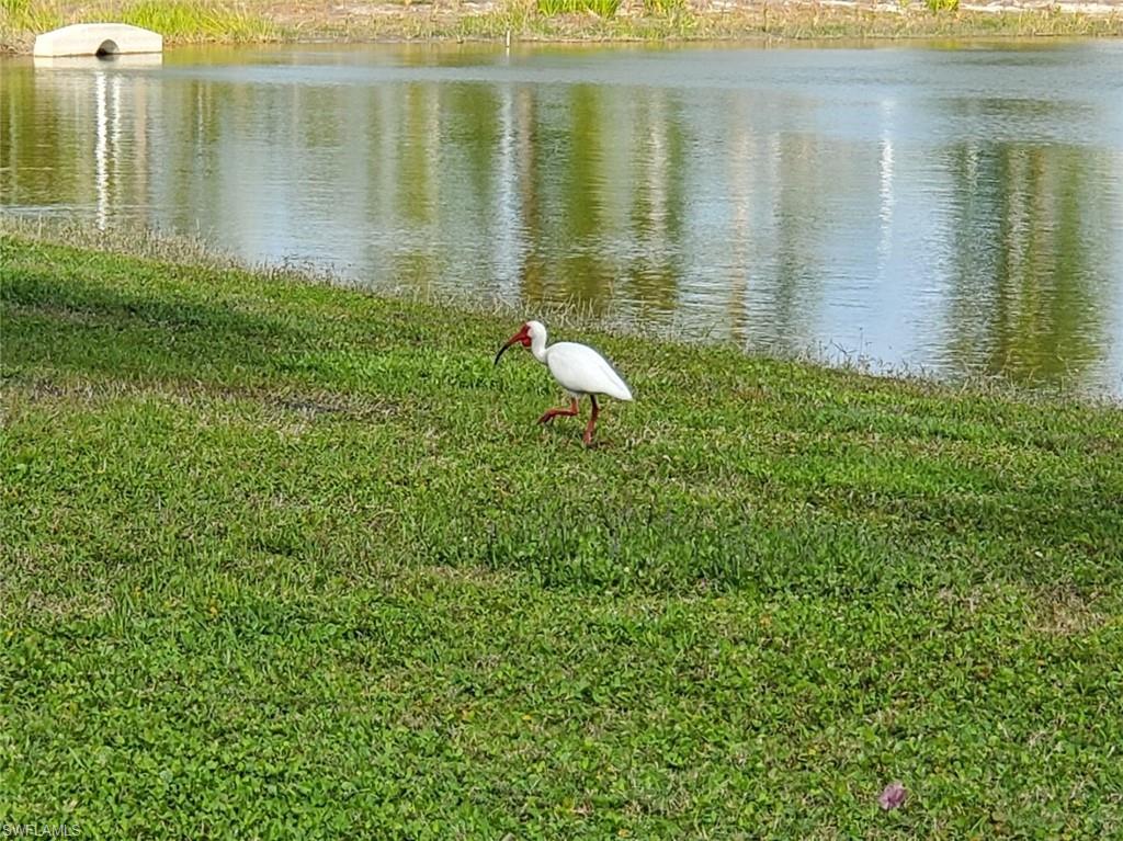 5279 Cypress Trail Resort Cir Property Photo 13