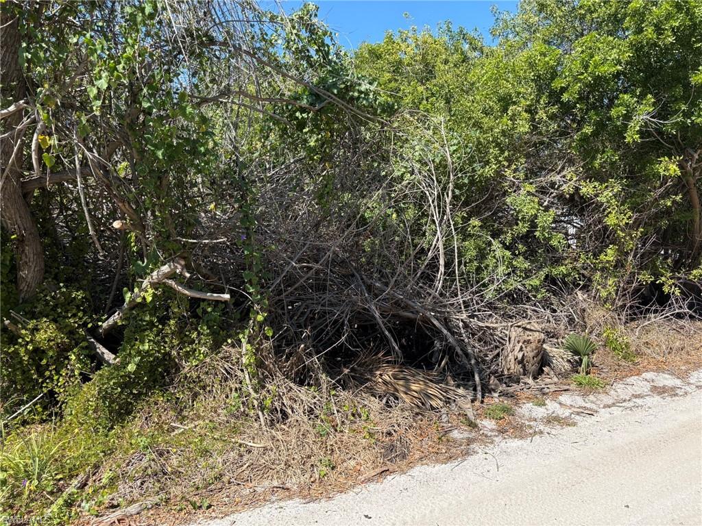 516 Longboat Cir Property Photo 11