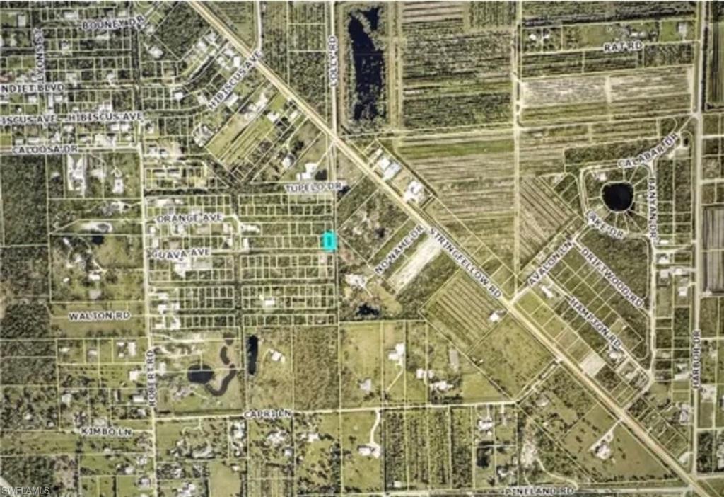 7000 Guava Ave Property Photo 3