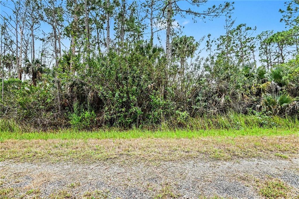515 Woodman Dr Property Photo 3