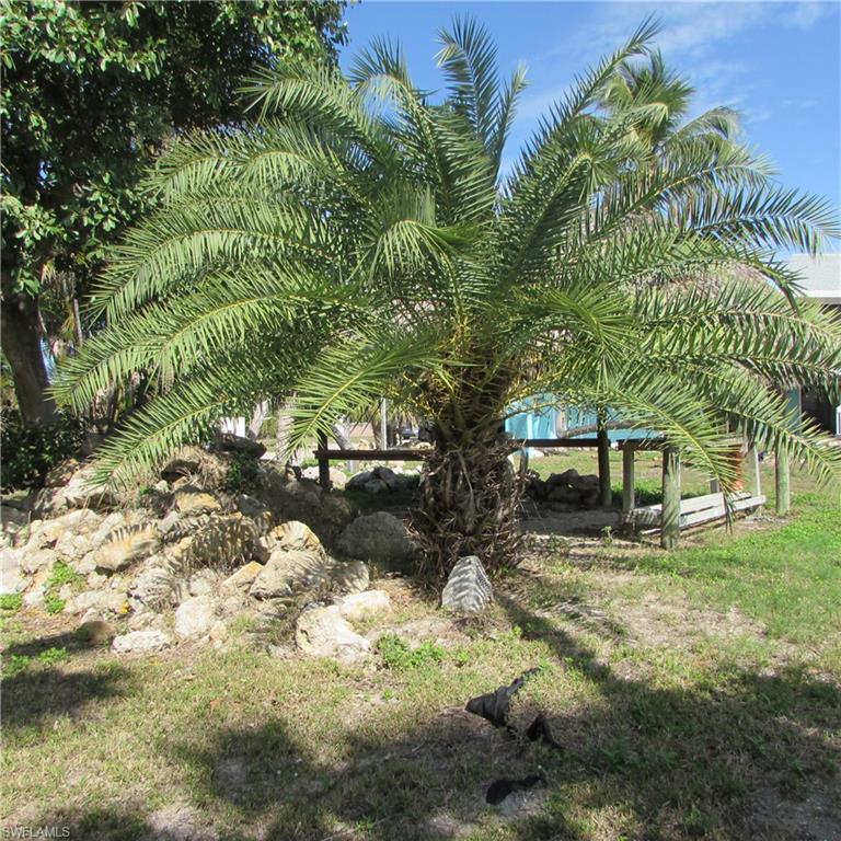 3547 Emerald #13 Ave Property Photo 13
