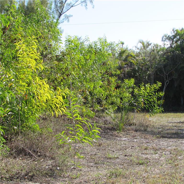 7757 Breakwater Ct Property Photo 7