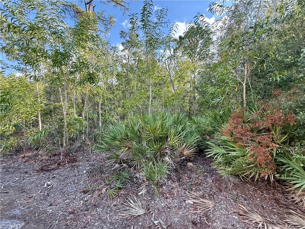 7101 Guava Ave Property Photo 4