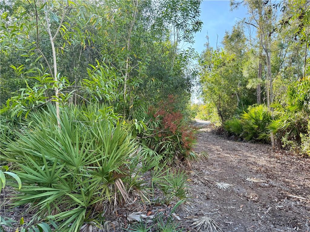 7101 Guava Ave Property Photo 5