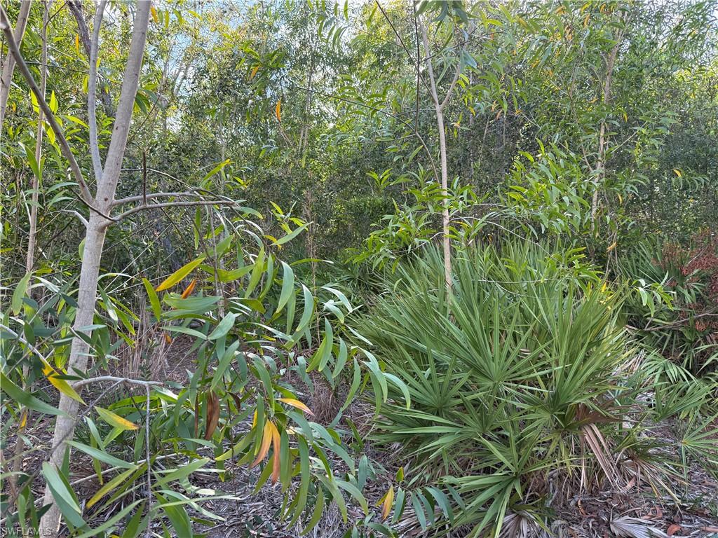 7101 Guava Ave Property Photo 6