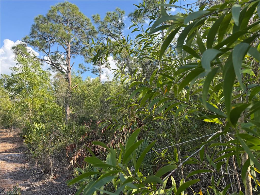 7101 Guava Ave Property Photo 8