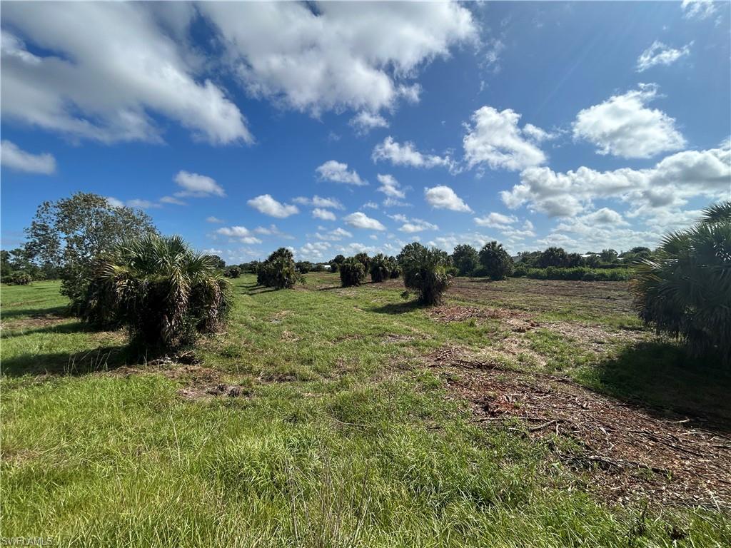 7024 Grove Blvd Property Photo 1