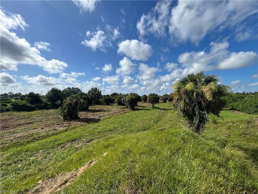 7024 Grove Blvd Property Photo 2