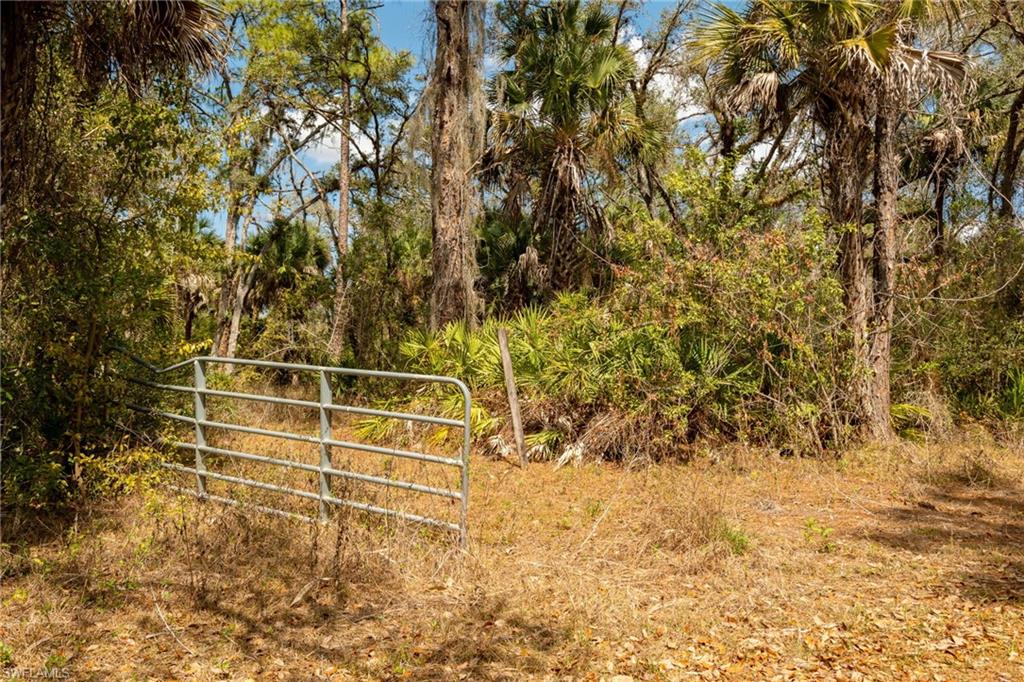 3751 Bateman Rd Property Photo 3