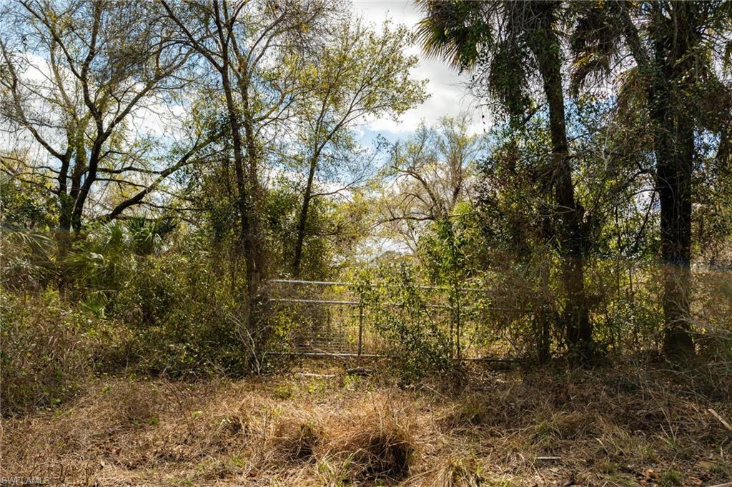 3751 Bateman Rd Property Photo 4