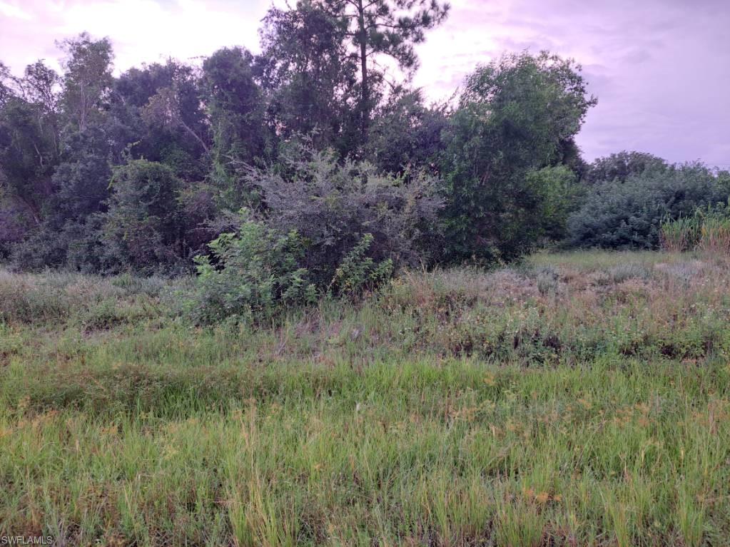 145 Pine Ln Property Photo 2