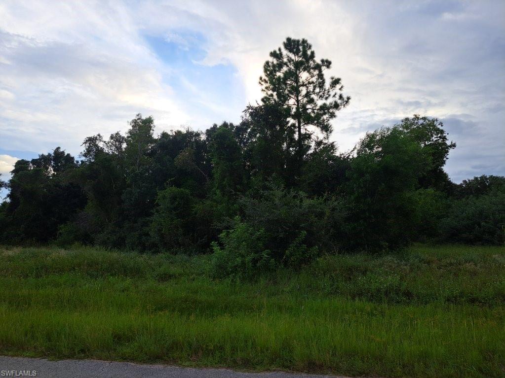 145 Pine Ln Property Photo 3