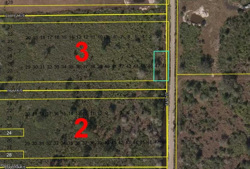 Lots 47 + 48 Palm Ave Property Photo 1