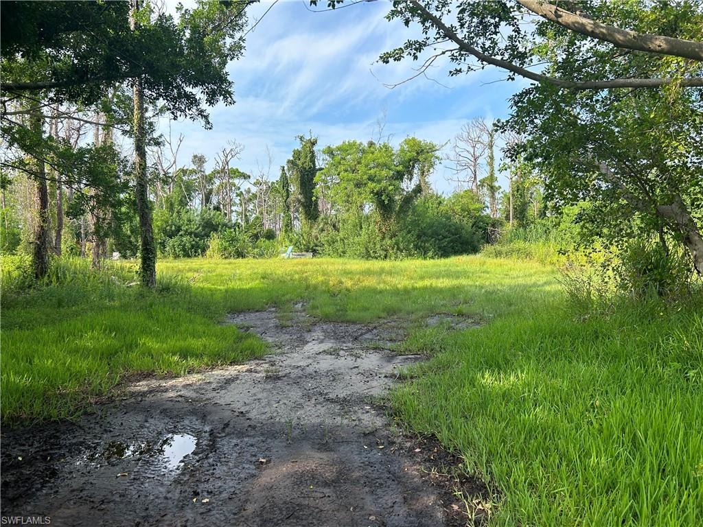 4291 Pinetree BLVD Property Photo 1