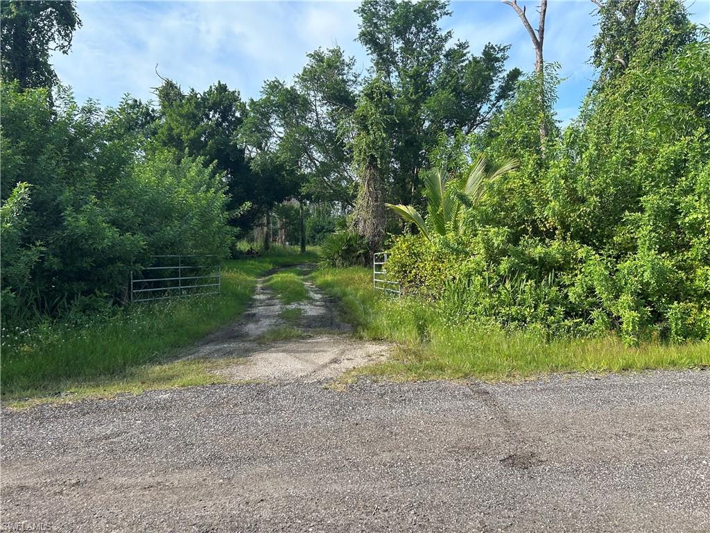 4291 Pinetree Blvd Property Photo 2