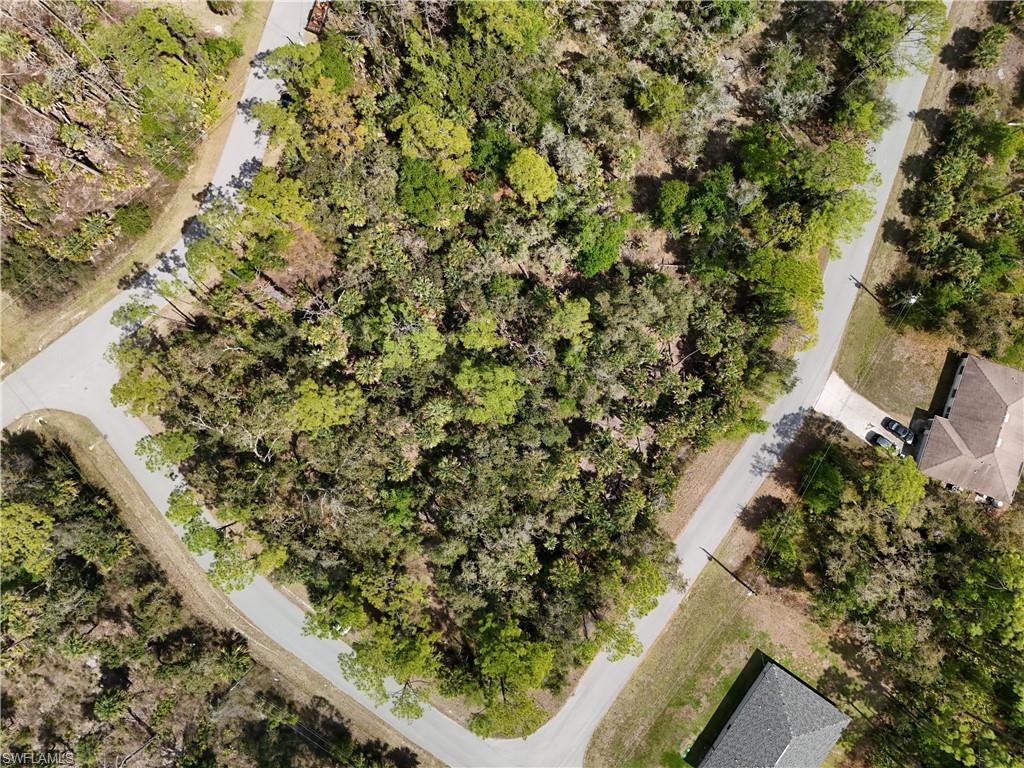 Landry Ave Property Photo 17