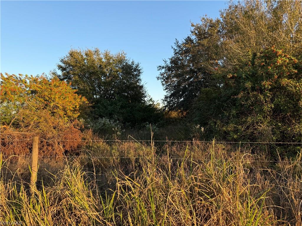 5801 4th Rd Property Photo 2