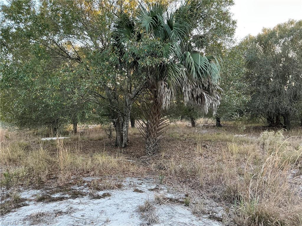5801 4th Rd Property Photo 3