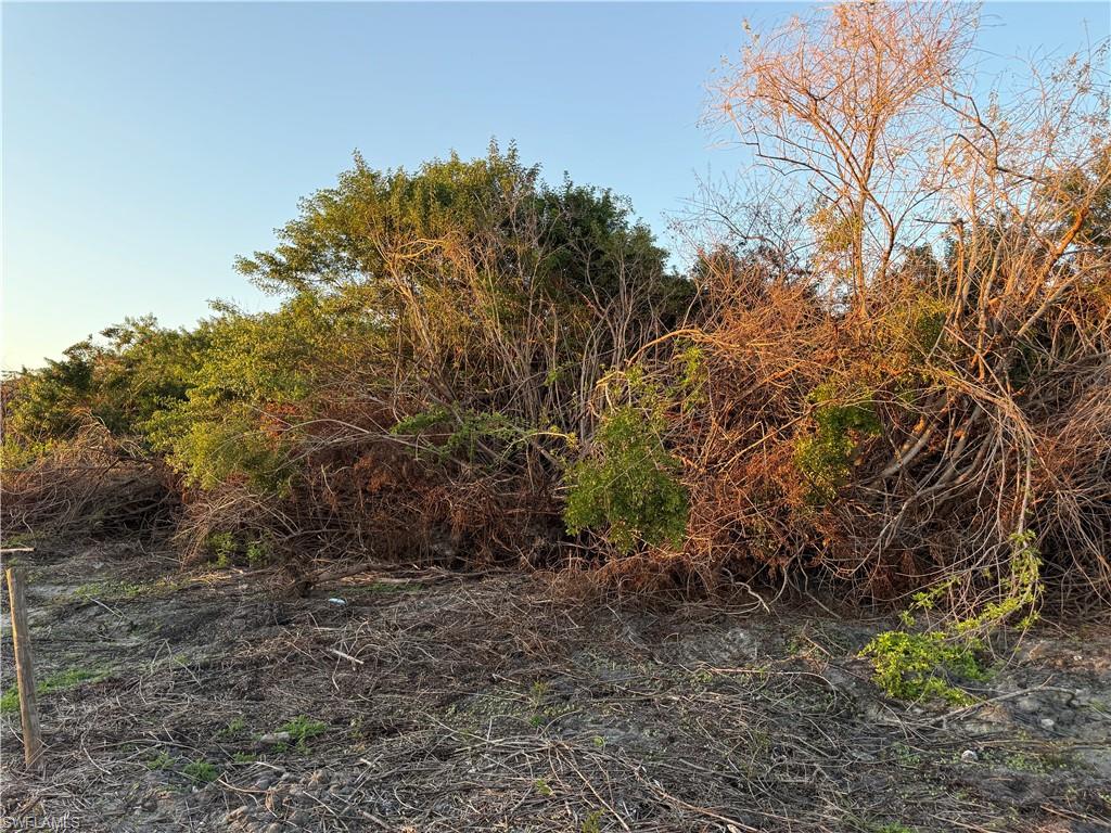 5801 4th Rd Property Photo 4