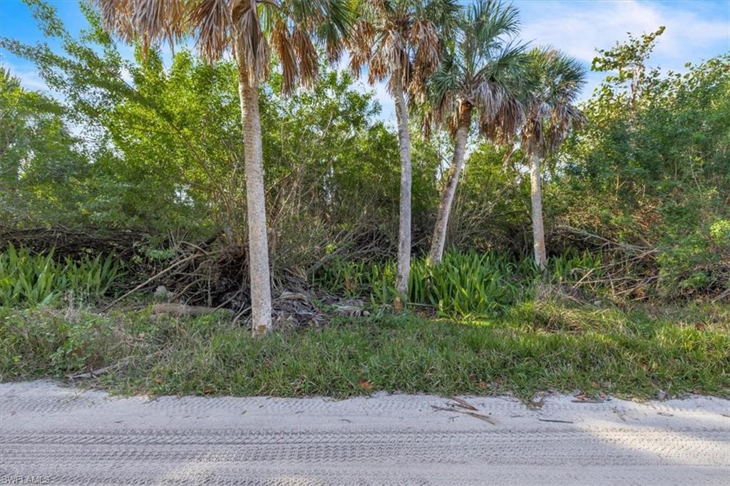 4521 Oro Pesos Ln Property Photo 12