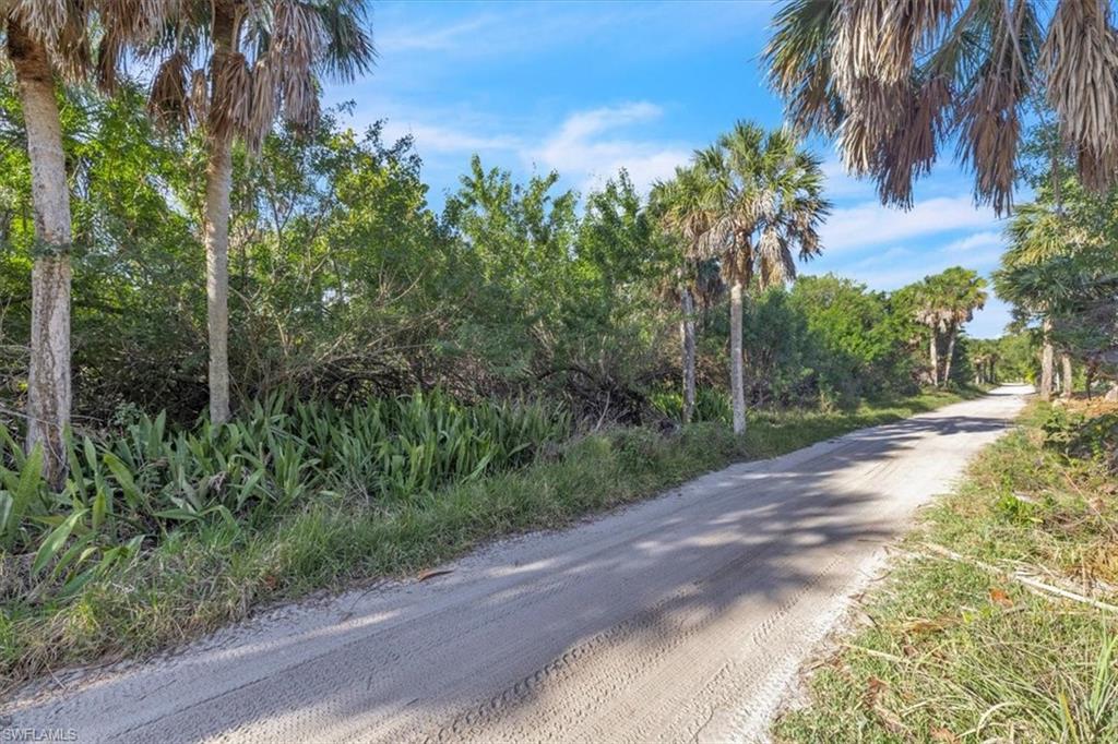 4521 Oro Pesos Ln Property Photo 14