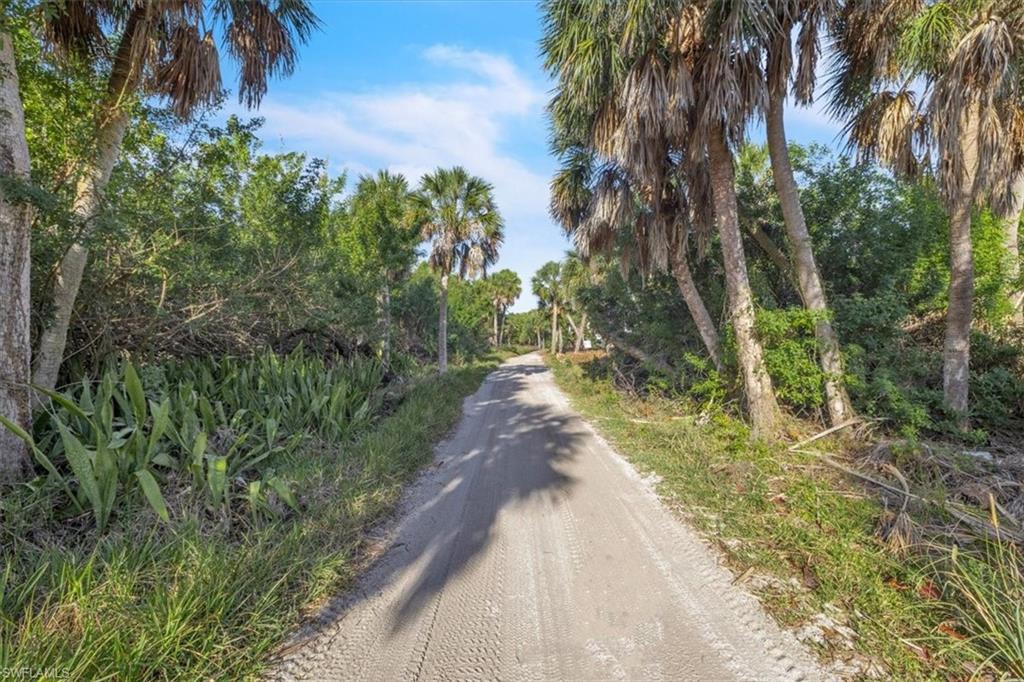 4521 Oro Pesos Ln Property Photo 15