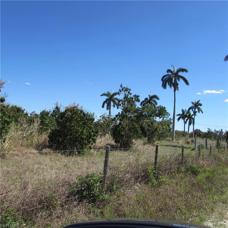 13171 Samadani Ln Property Photo 3