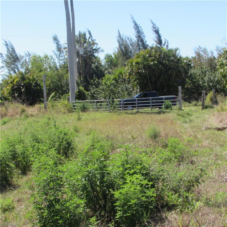 13171 Samadani Ln Property Photo 8