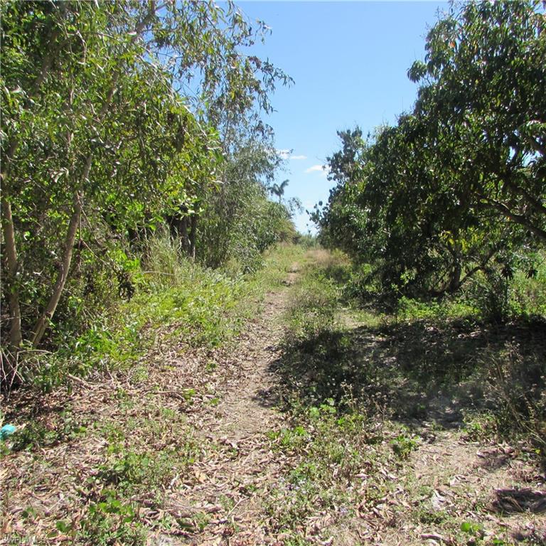 13171 Samadani Ln Property Photo 10