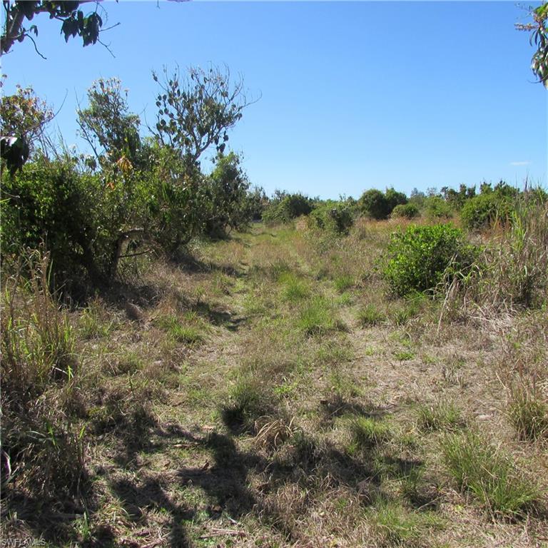 13171 Samadani Ln Property Photo 11