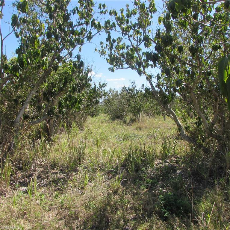 13171 Samadani Ln Property Photo 12