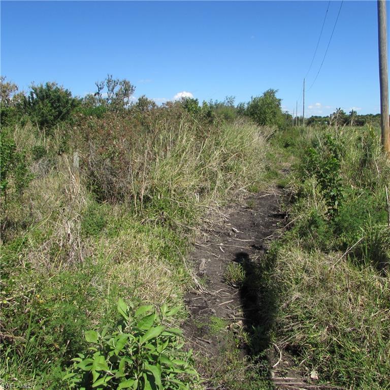 13171 Samadani Ln Property Photo 14