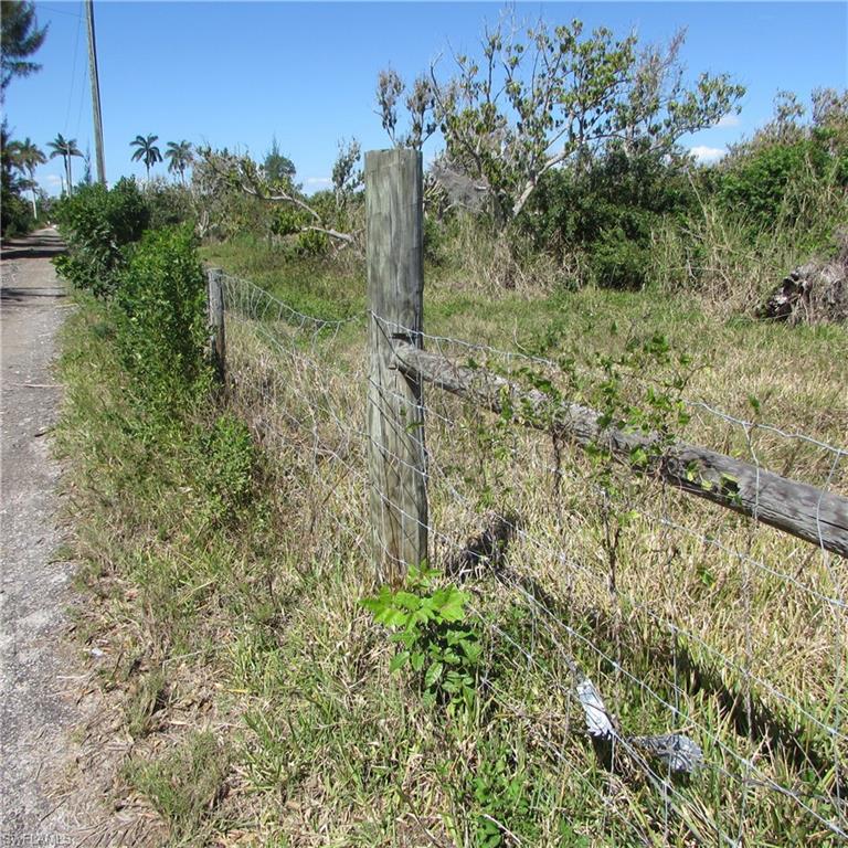 13171 Samadani Ln Property Photo 15