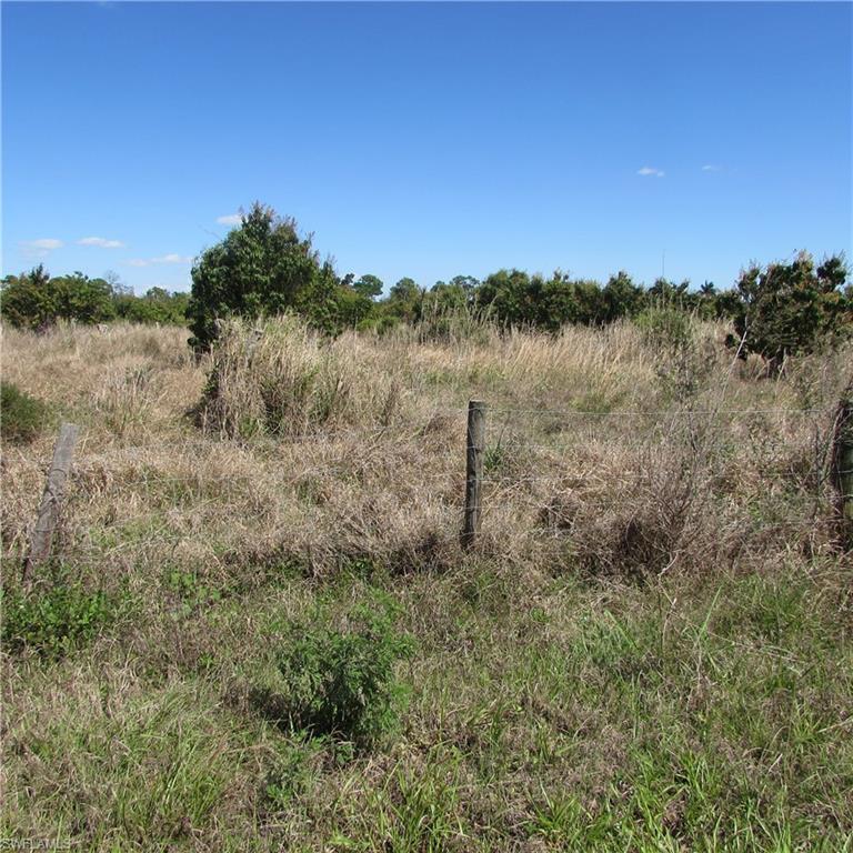 13171 Samadani Ln Property Photo 17