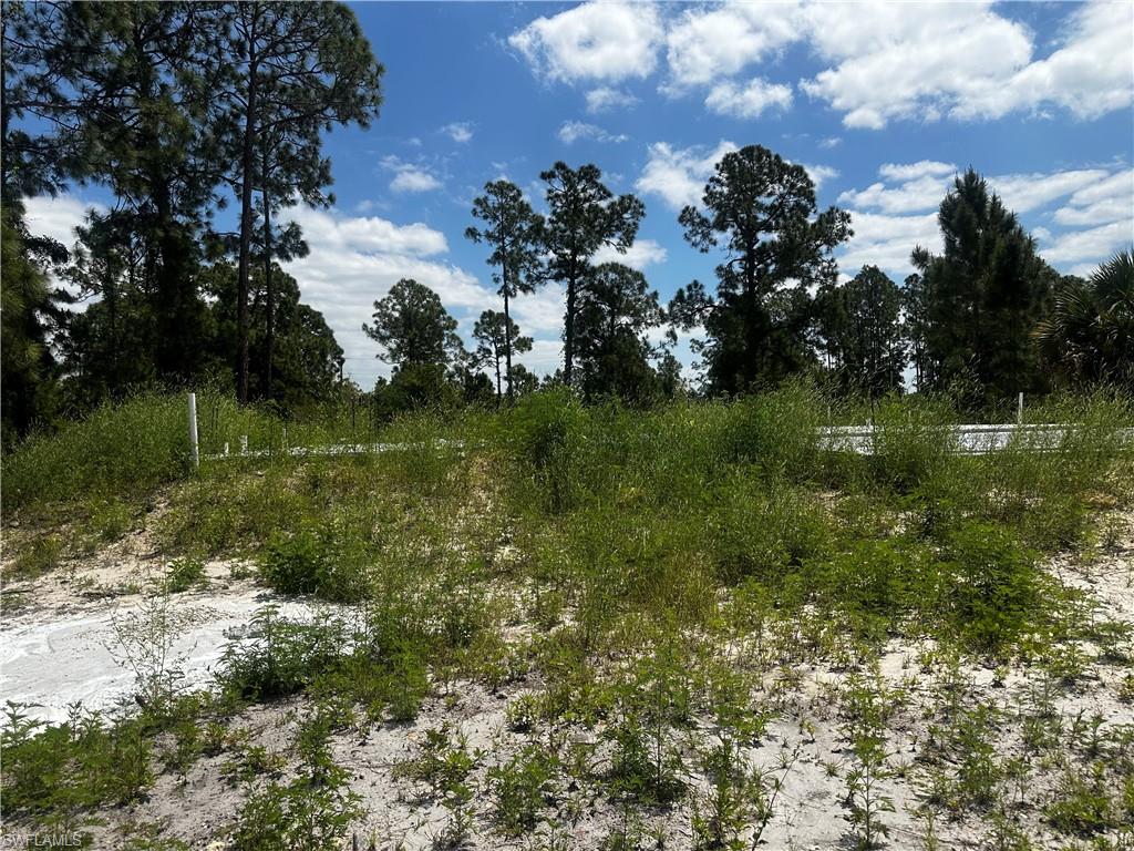 459 Zimmerman AVE Property Photo 1