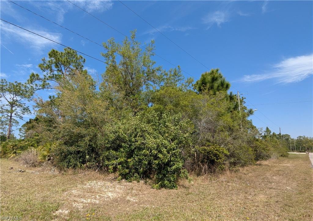 1855 Lindenwood Dr Property Photo 3