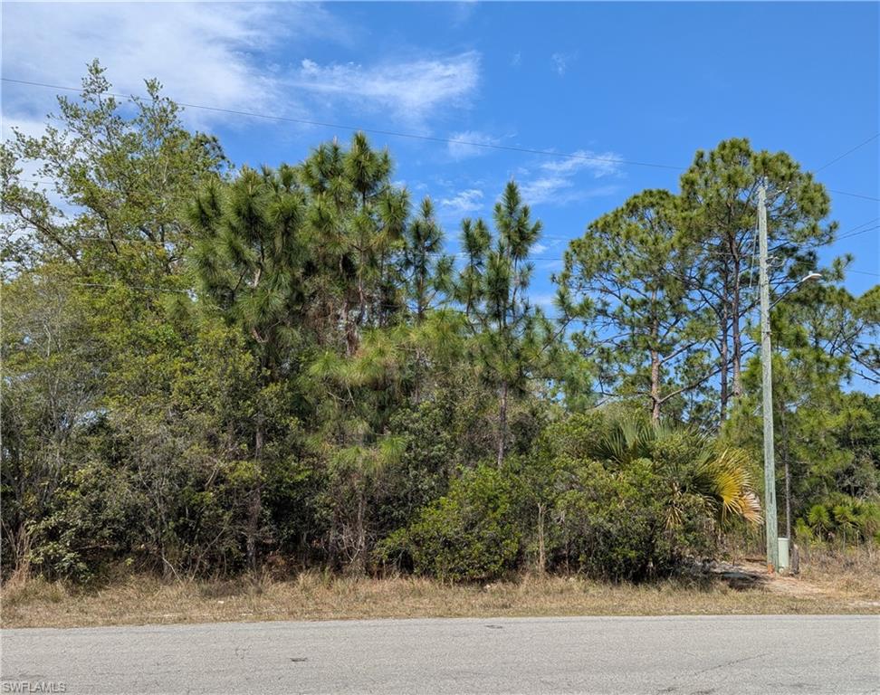 1855 Lindenwood Dr Property Photo 4