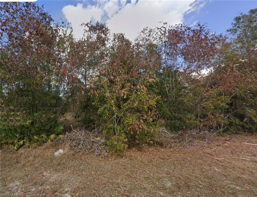 3605 E 3rd St Property Photo 3