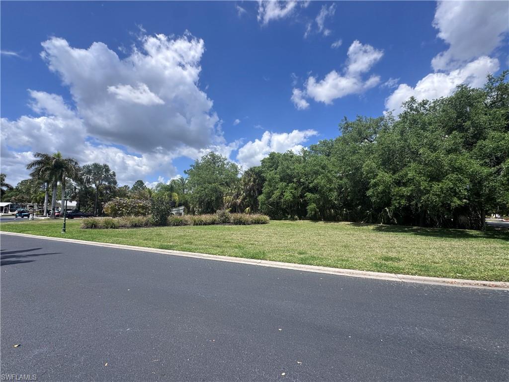 Lot 173 3014 Belle Of Myers Rd Property Photo 17